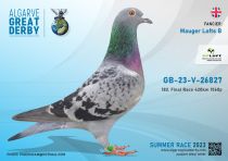 GB 23 V26827